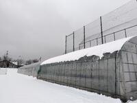 季節外れの大雪４月30日